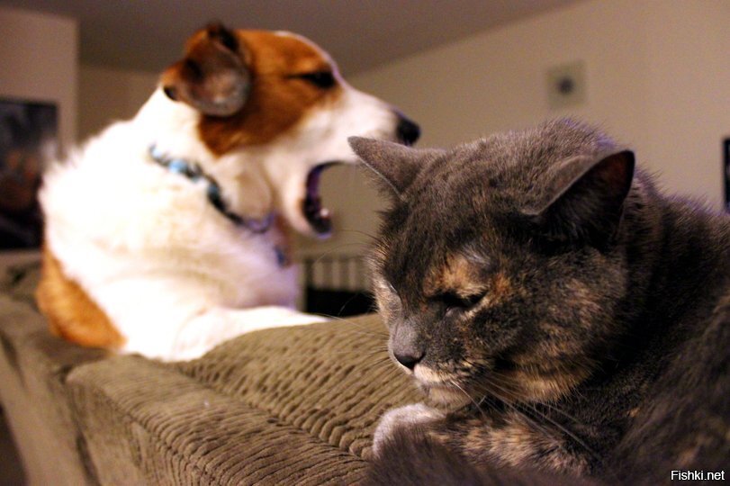 Диалог в Солянке