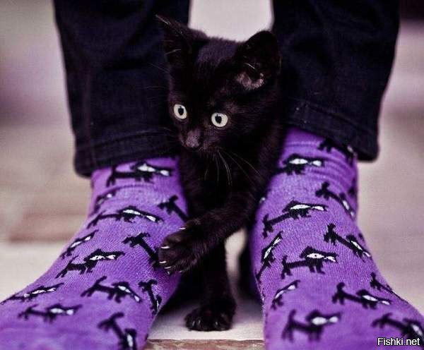 что он с вами сделал