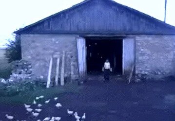 Классный руководитель