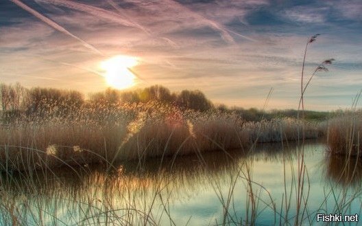 Чуть бледнеют янтари 