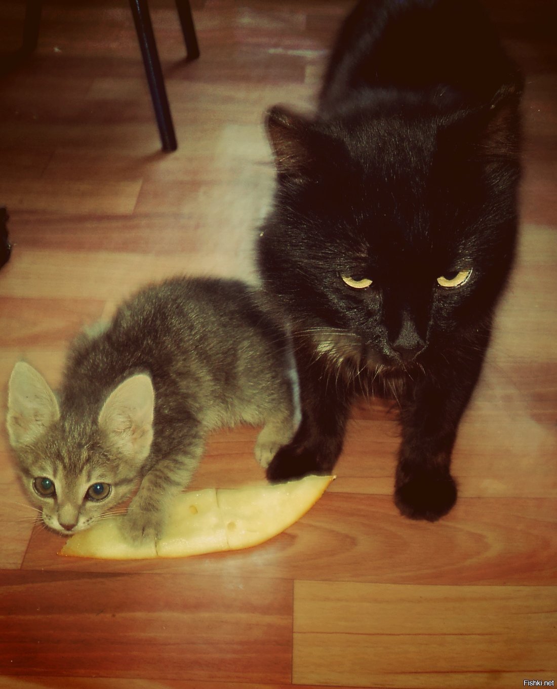 Ну,дыньку доедаем