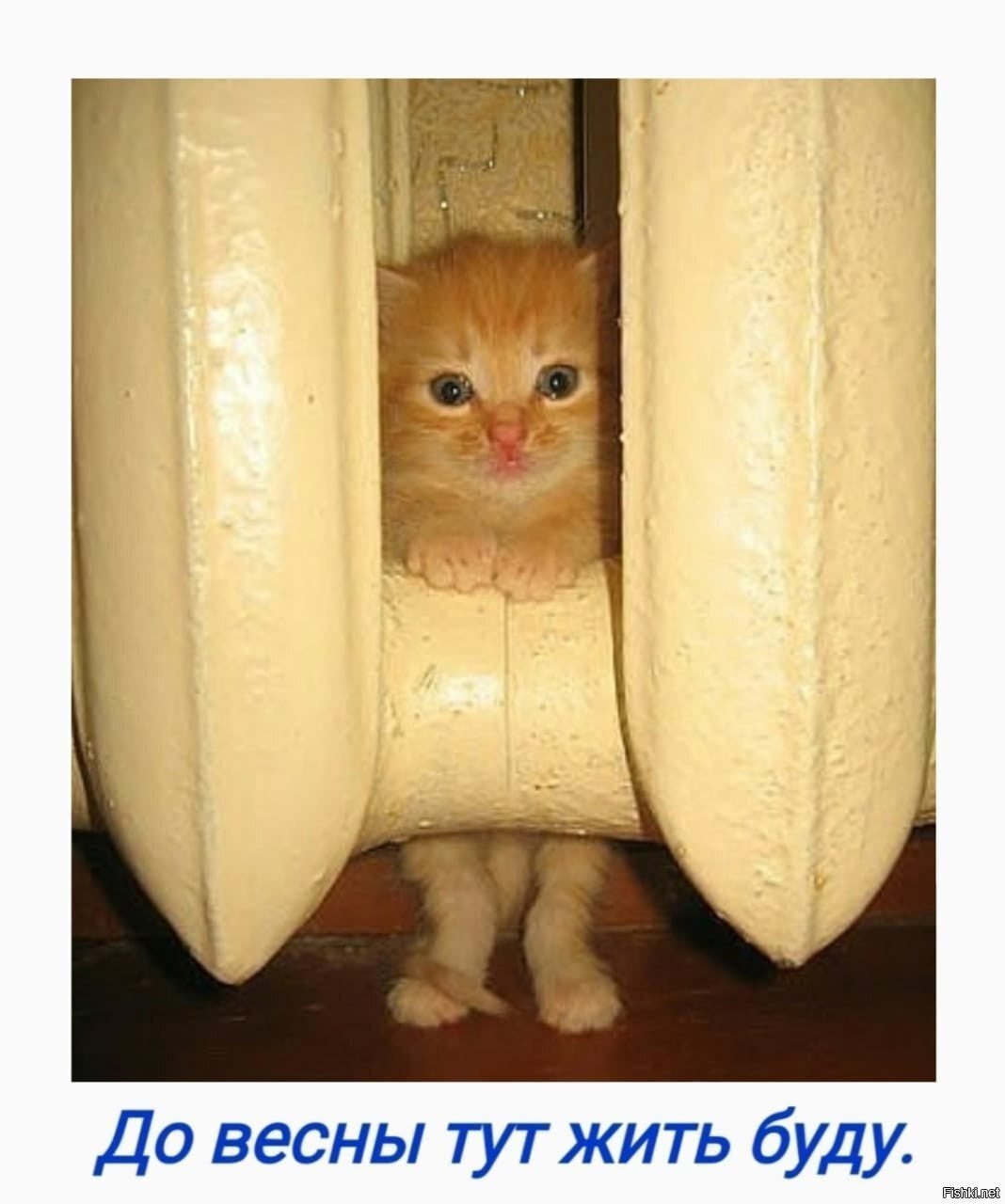 И до весны отсюда выходить не собираюсь
