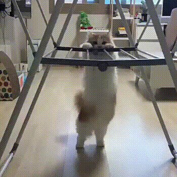 Всё, перехожу на обезжиренную сметану