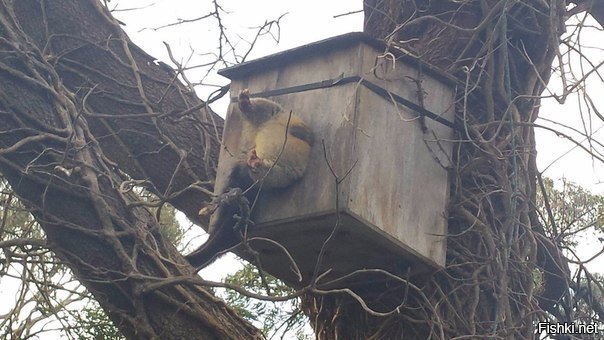 Все потому, что кто-то слишком много ест