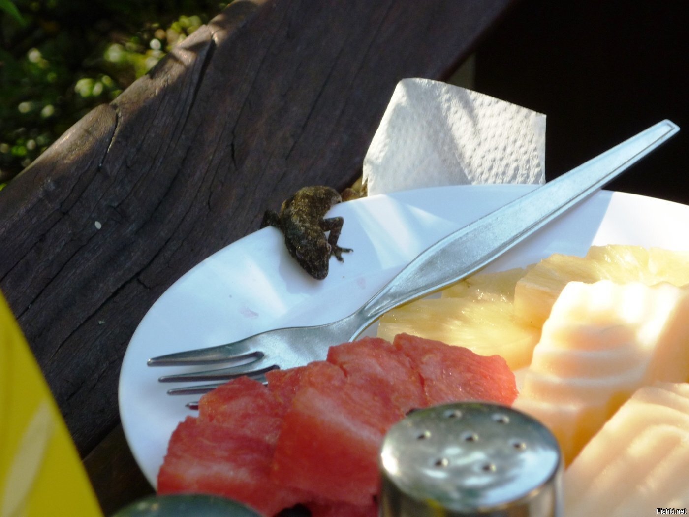 Я тварь дрожащая или где