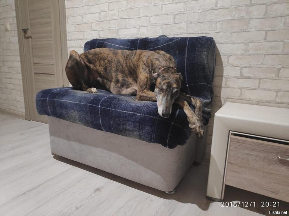 Доброе утро