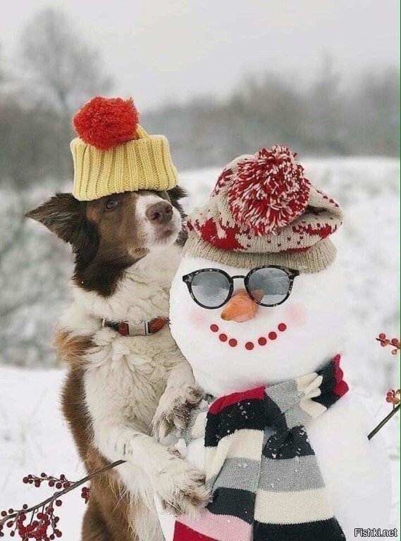 Доброе утро