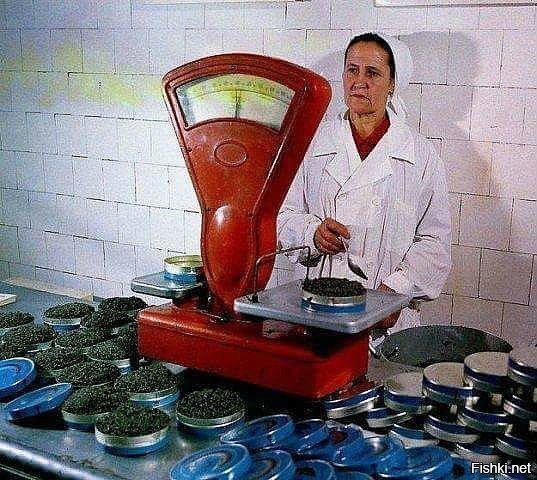 Фасовка чёрной икры, 1979 год, Азербайджанская ССР