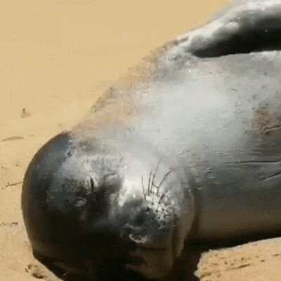 - Вставай, институт проспишь