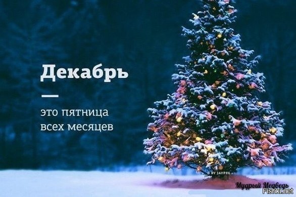 Добрейшего всем утречка