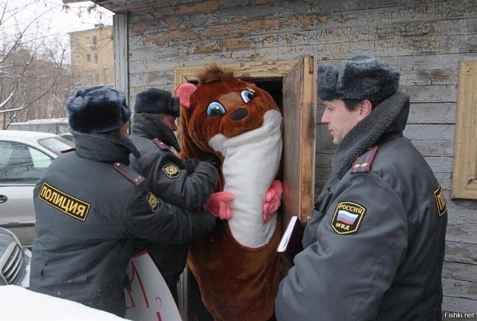 Доброе утро, Страна