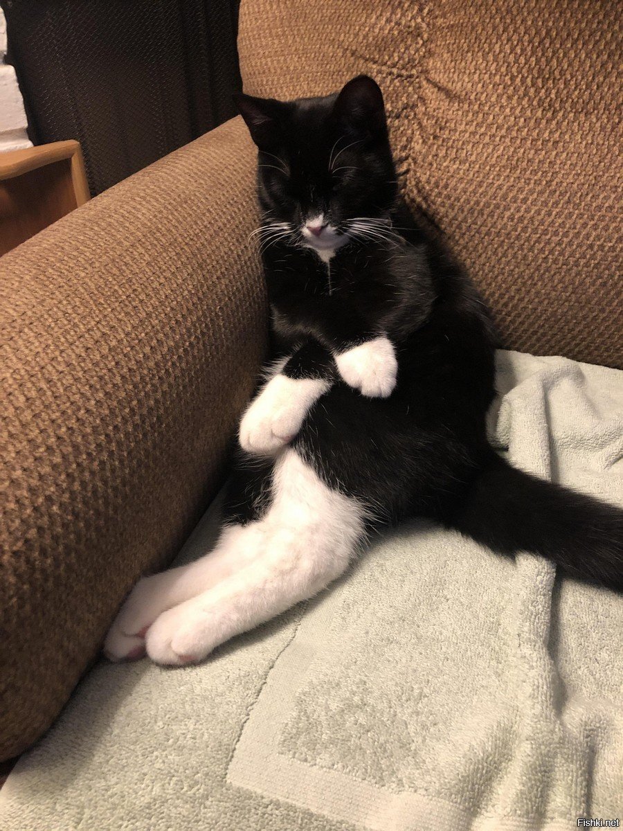 Всем привет