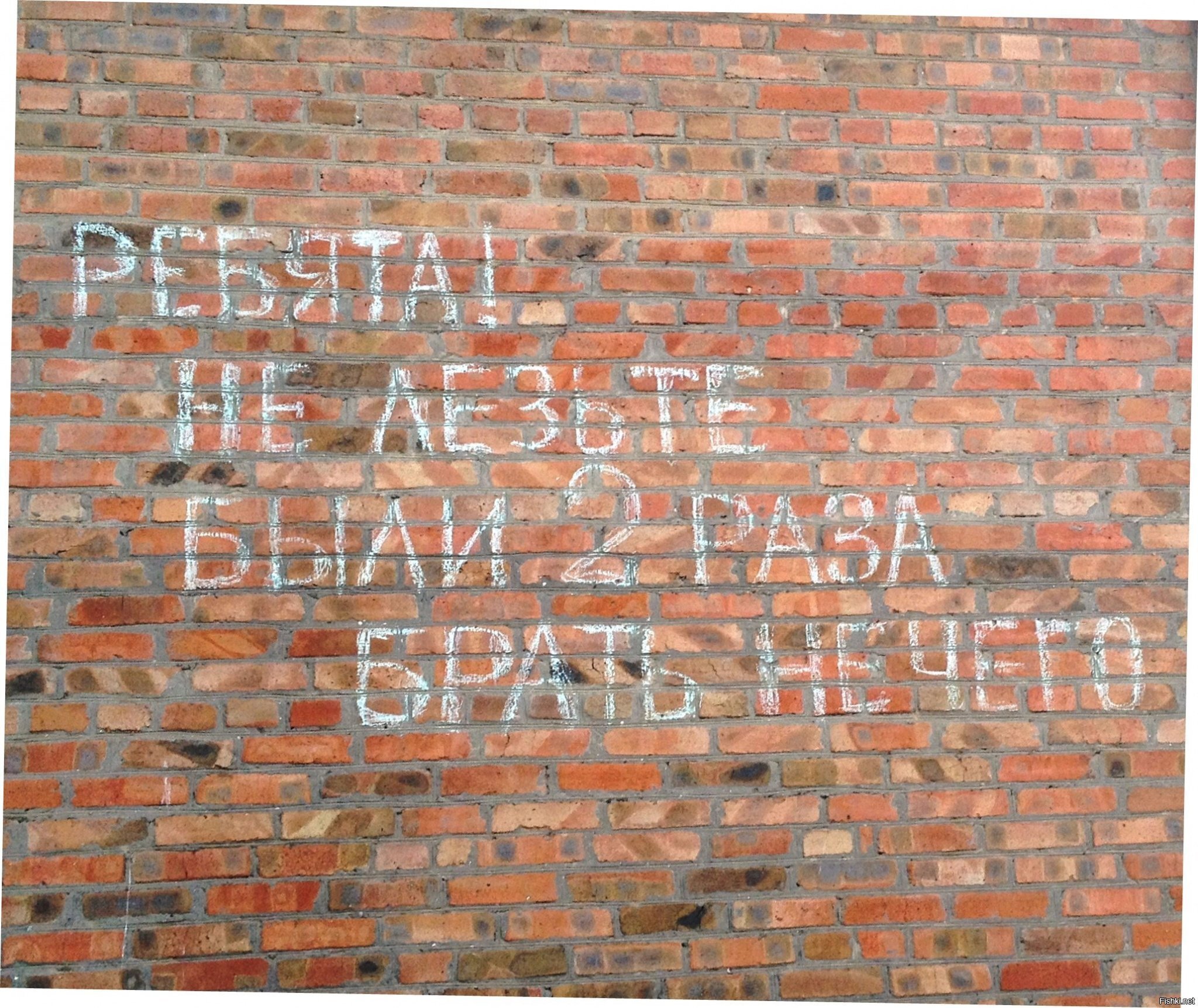 Отчаяние (где-то в садоводческом товариществе)