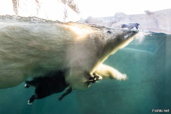 милоты пост