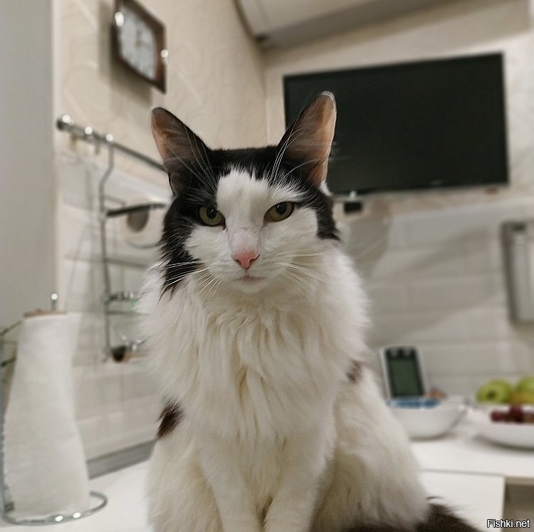 Ну, с добрым утром что ли