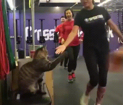 Это была отличная игра