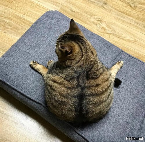 Таити, Таити