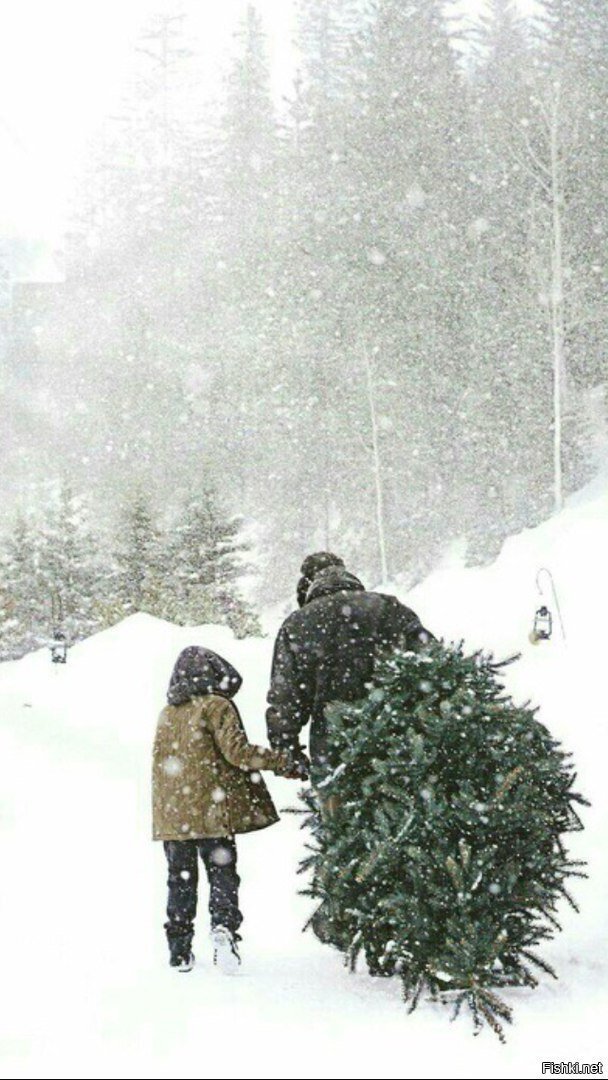 ...под самый корешок!