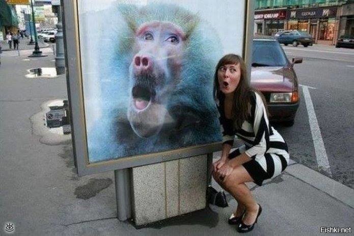 найди отличие