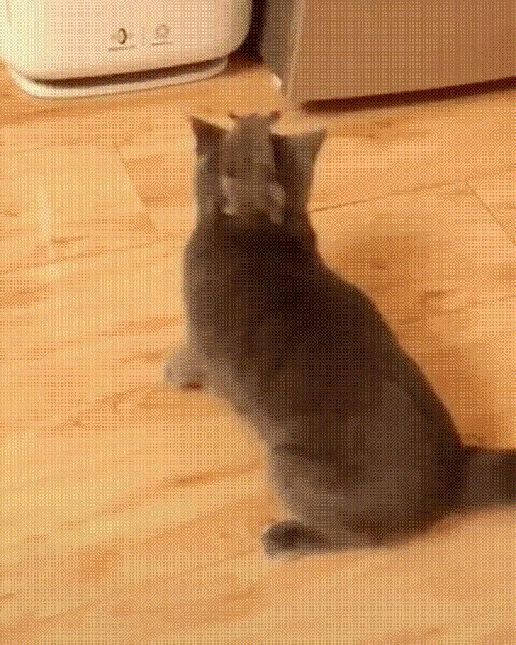 Уберите, эту гигантскую блоху