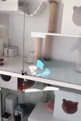 И чего мне эти ваши Диснейленды