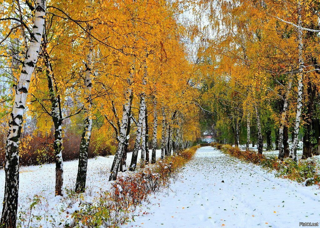 Межсезонье