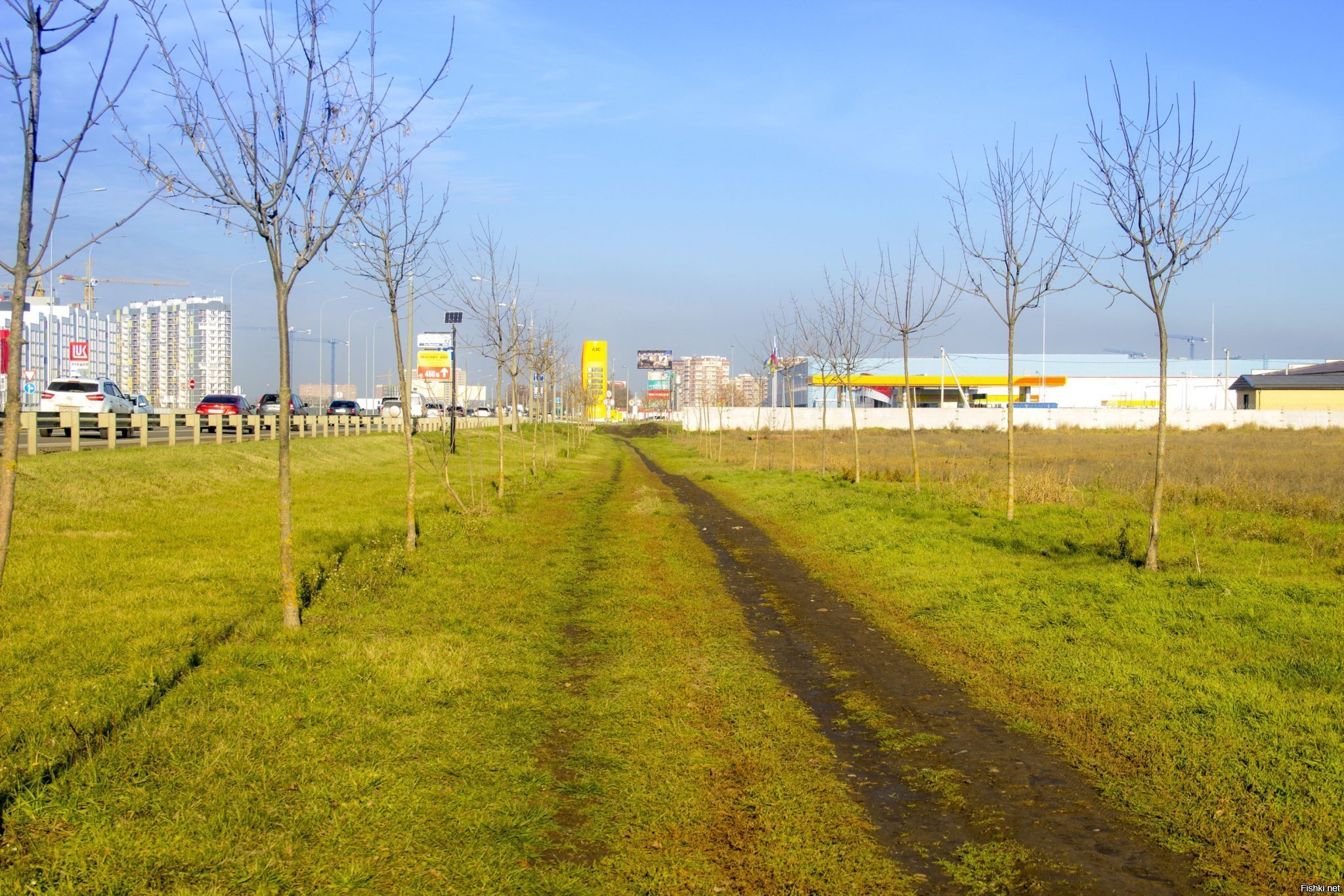 Моя первая зима в Краснодаре