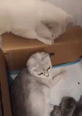 Так, в прихожей поспишь