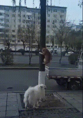 И не таких доставали