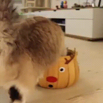 А вот впихнулось невпихуемое