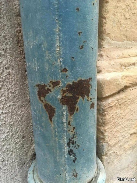 Этот мир прогнил насквозь