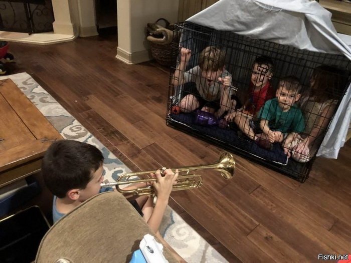 Добровольно-принудительный концерт