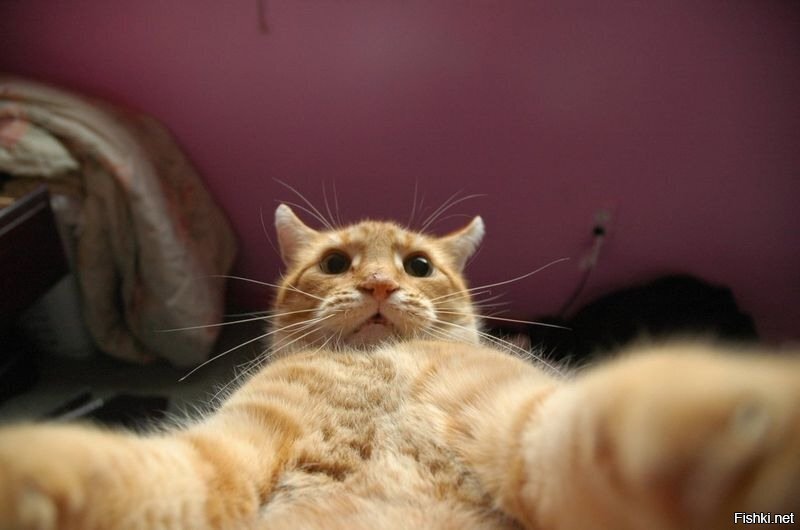 -Всем привет