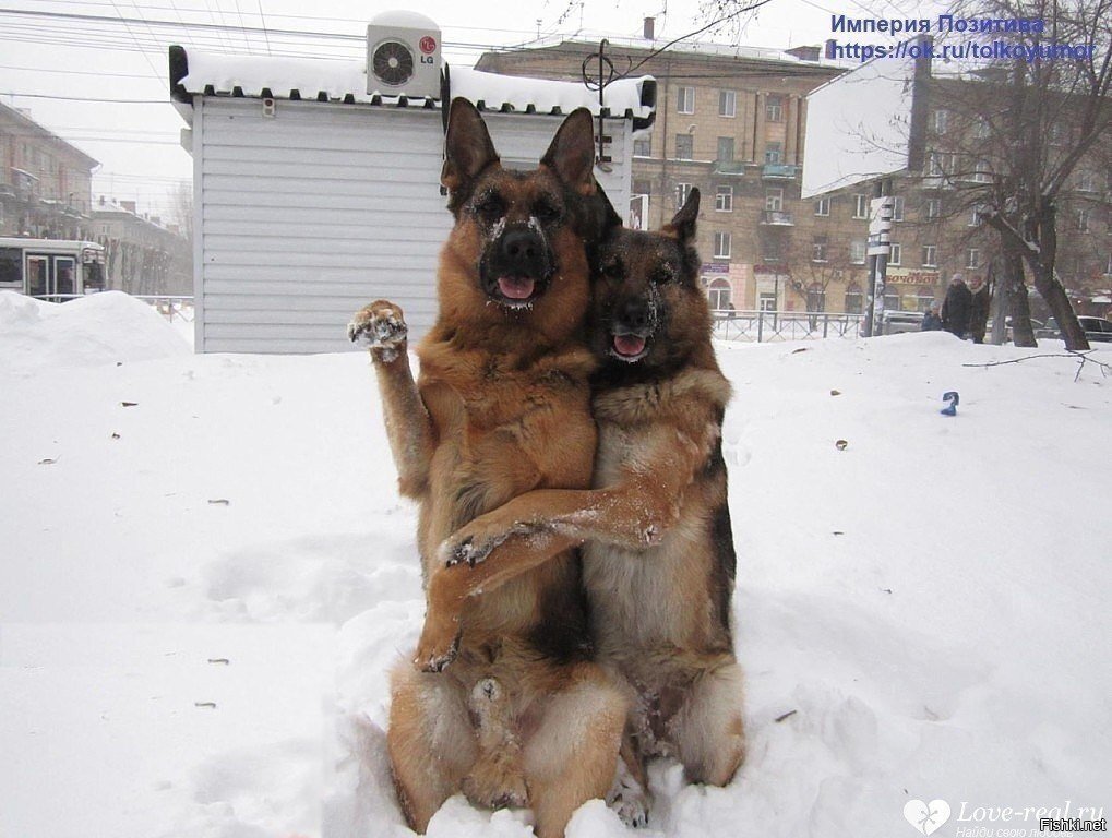 Фото с другом на память