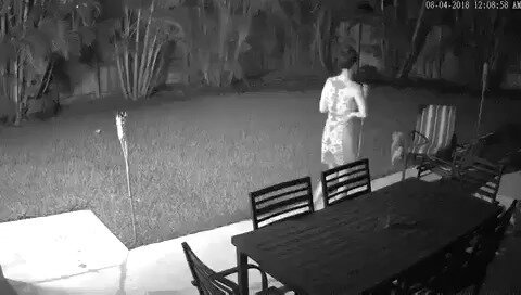 Жена и без мужа никого не боится