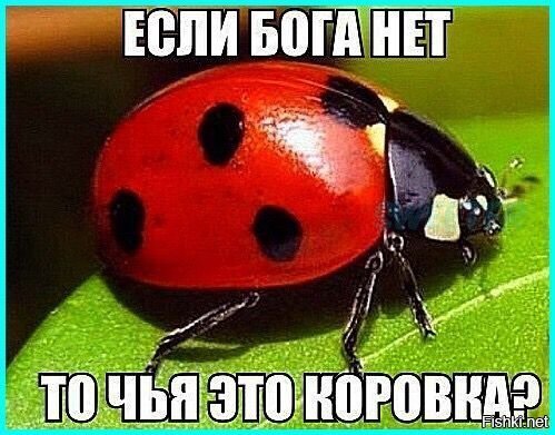 Шах и мат, атеисты