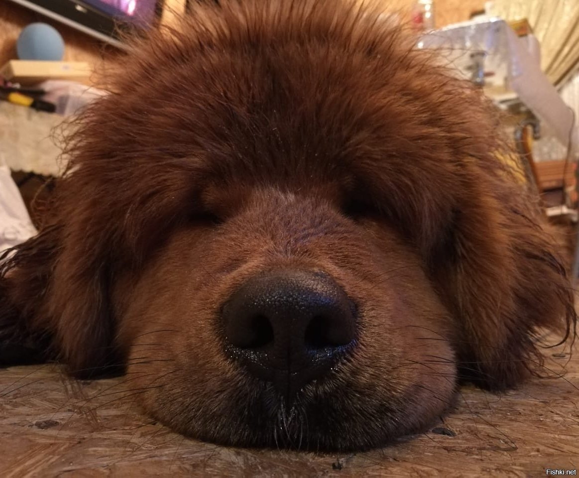 Позитива в ленту