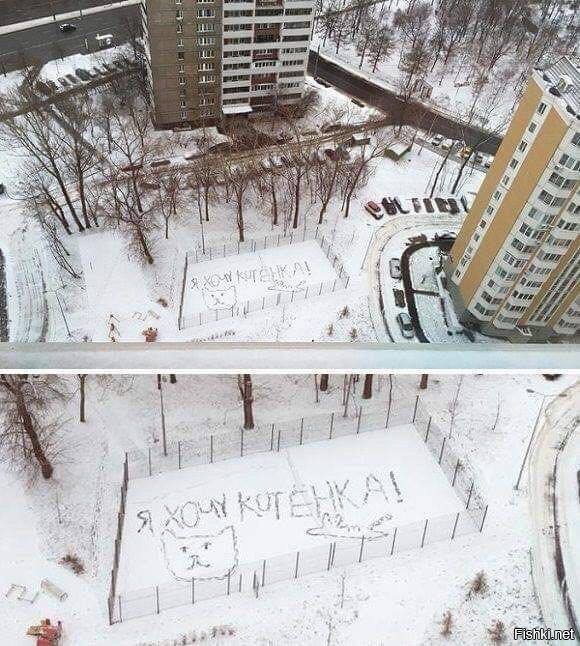 Когда ОЧЕНЬ хочешь котенка