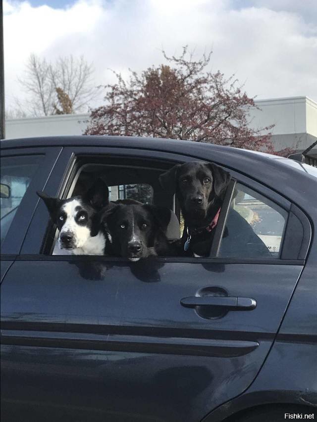 Всем здрасьте