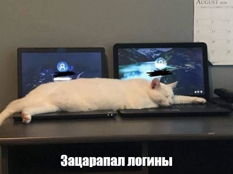 Всем привет