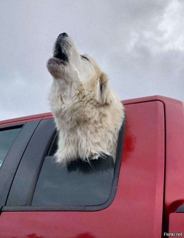 Когда едешь на работу