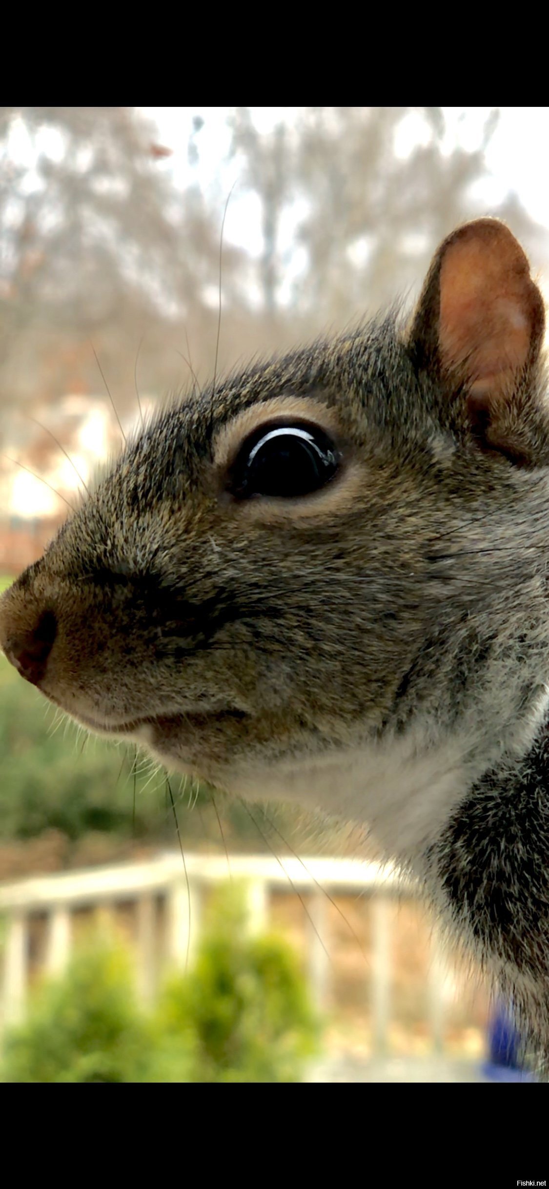 Убери орешки, я к тебе пришла