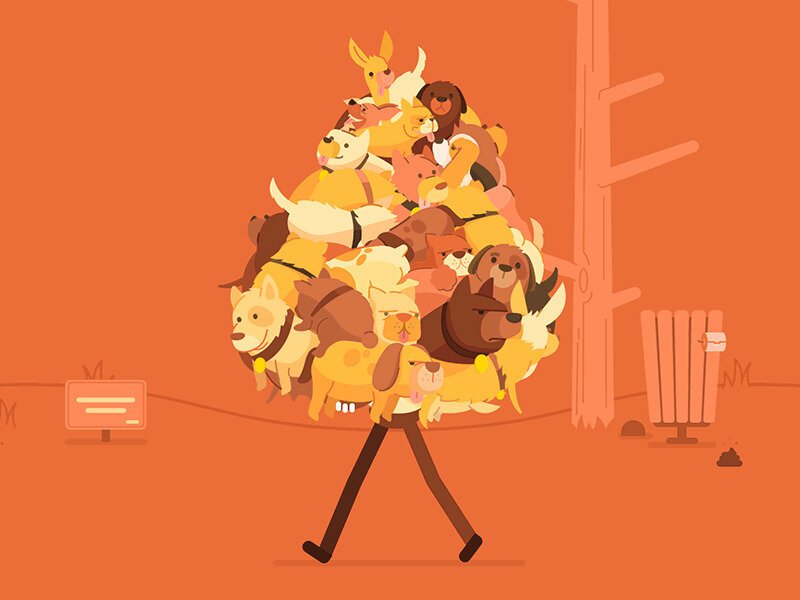 Когда очень любишь животных