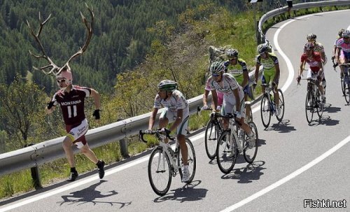 А олени лучше