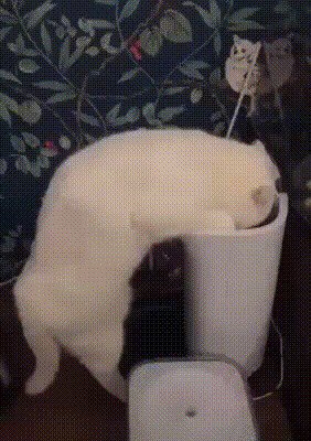 - Не лопнешь