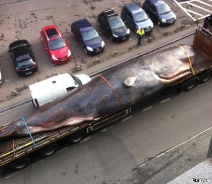 рыбалка удалась