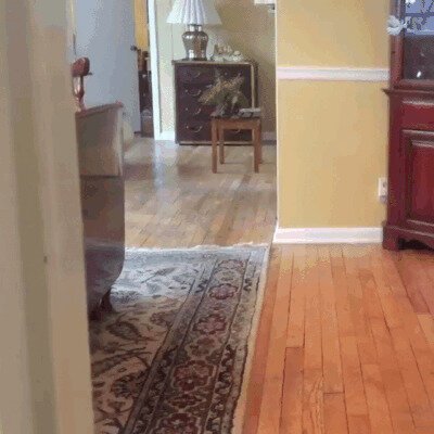 -Дорогая, что на ужин