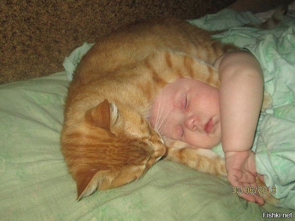 Шапка-ушанка с подогревом