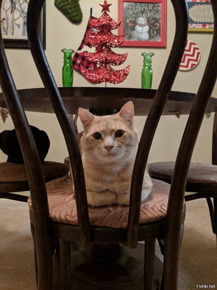 Весело, весело встретим Новый год