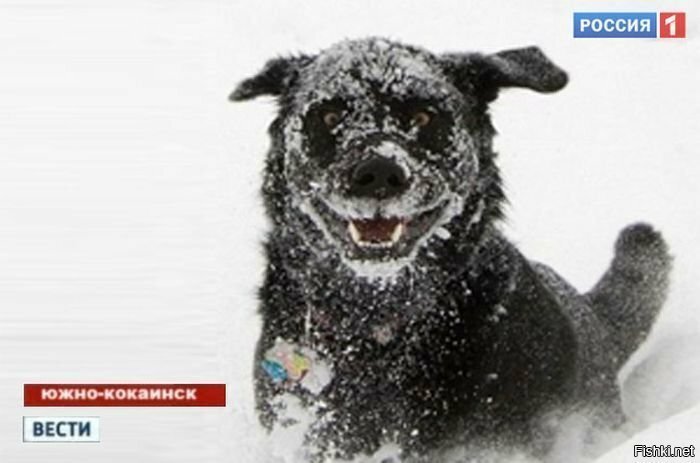 &quot;На острове хорошая погода